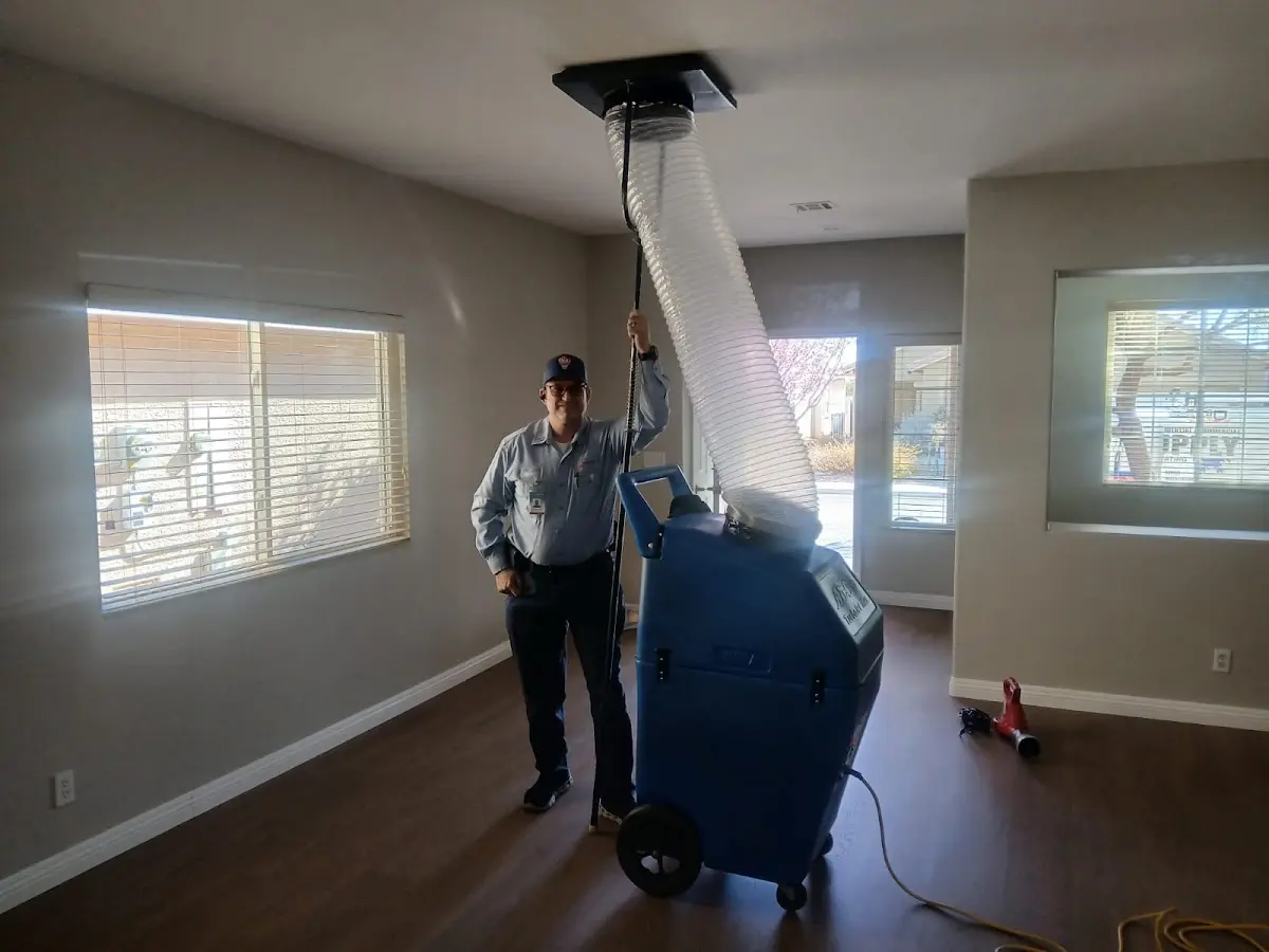 Professional Dryer Vent Cleaning work inside a Silver Firs home